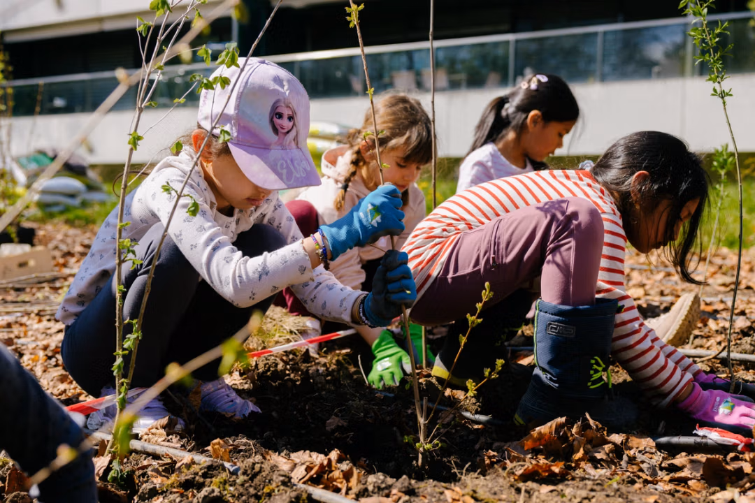Children planting saplings during a TSF community planting day